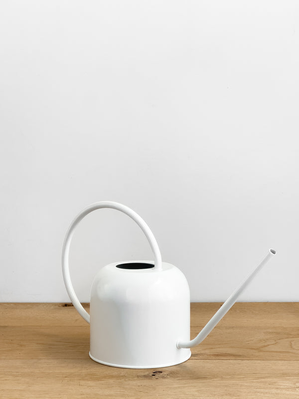 Como Watering Can
