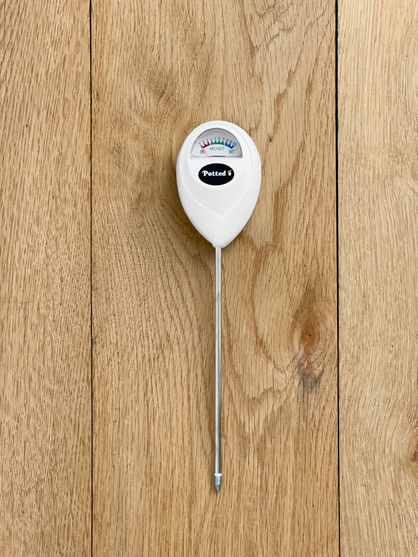 Moisture Meter