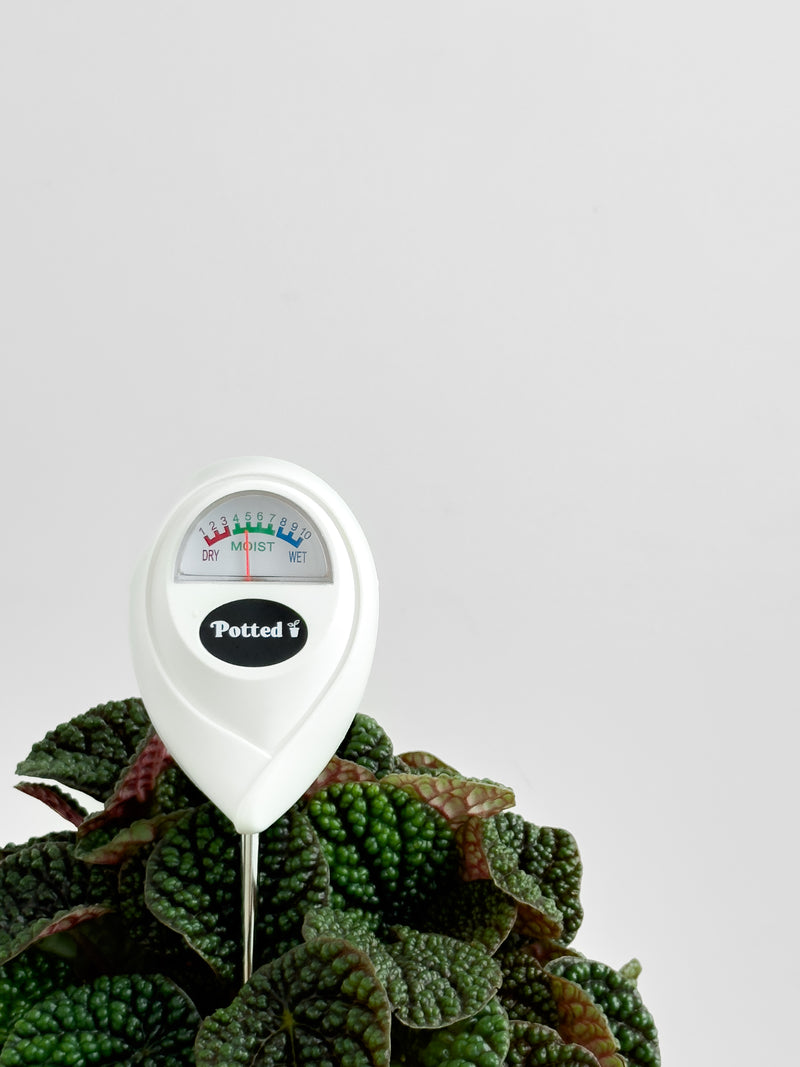 Moisture Meter