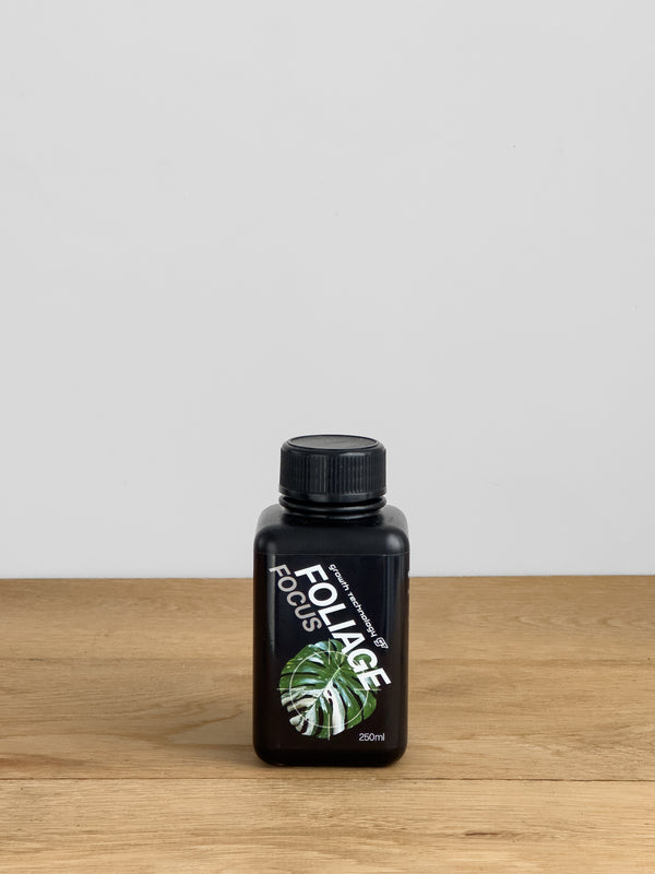 Foliage Focus GT