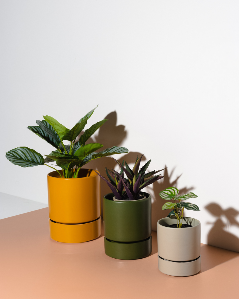 Billie Planter - Olive