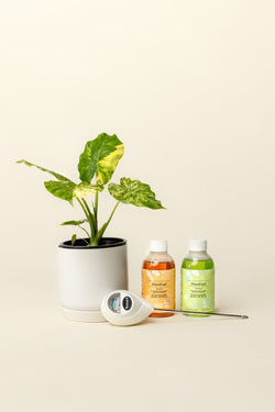 Green Thumb Kit