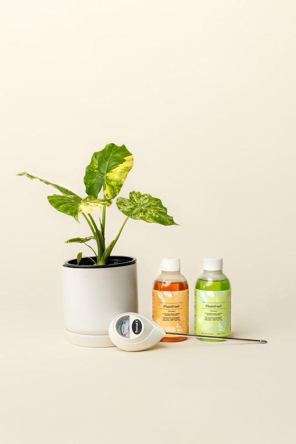 Green Thumb Kit