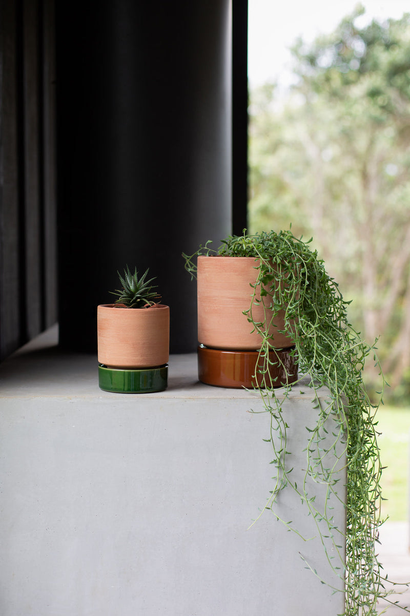 Grace Planter Terracotta & Soil