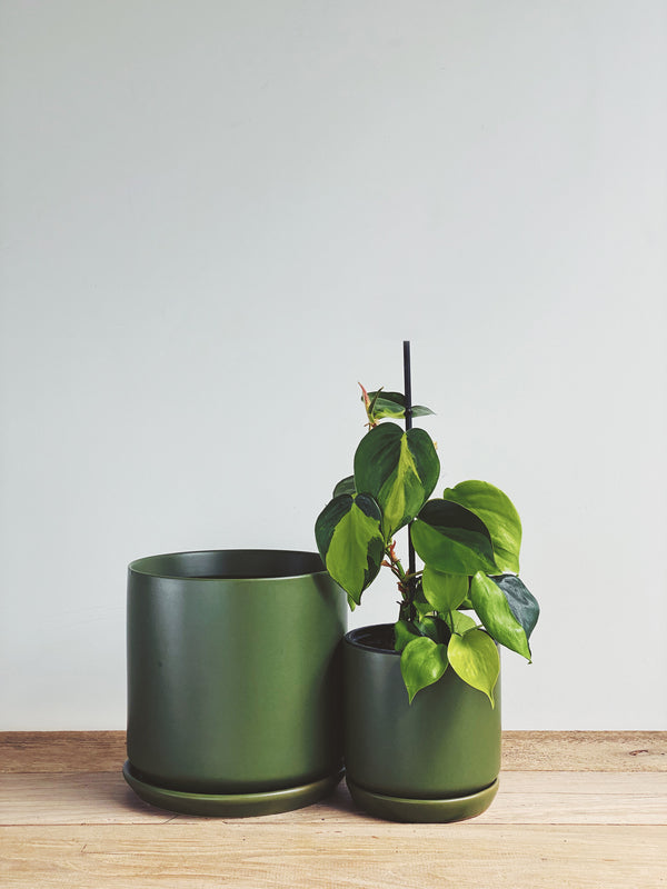 Oslo Planter - Avocado